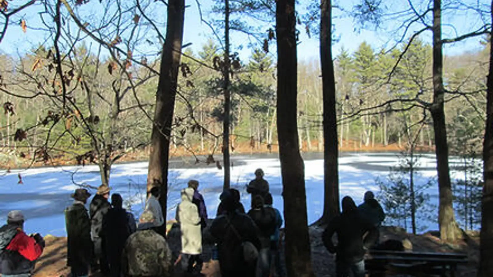 Harold Parker State Forest