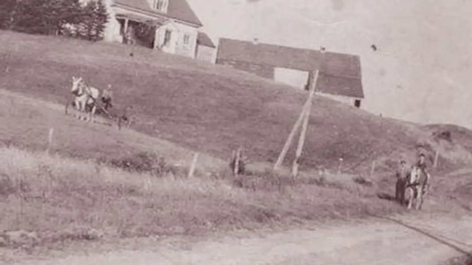Mary Ellen Spook Farm